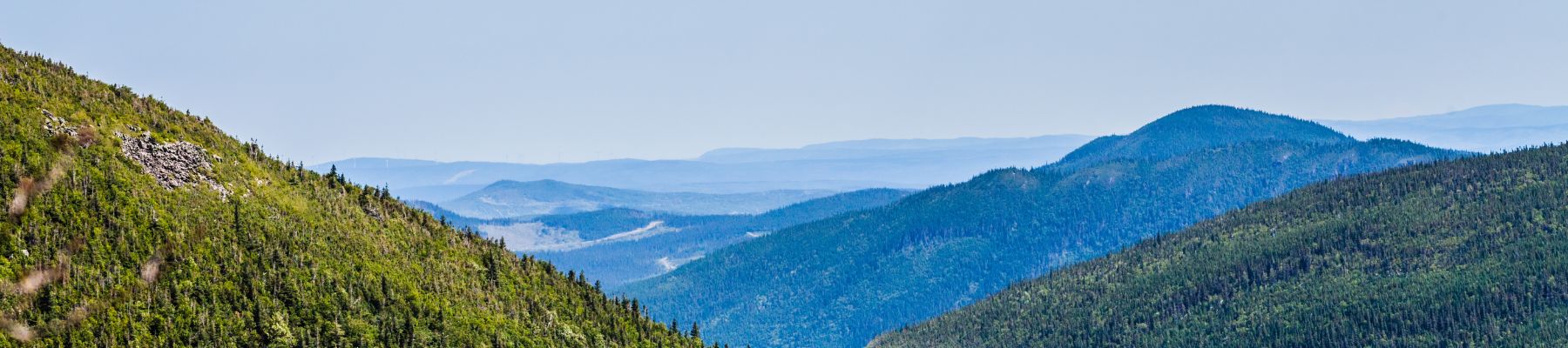 legislative-advocacy