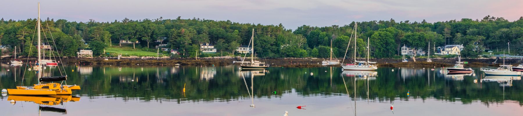 donate-to-the-maine-physicians-action-fund