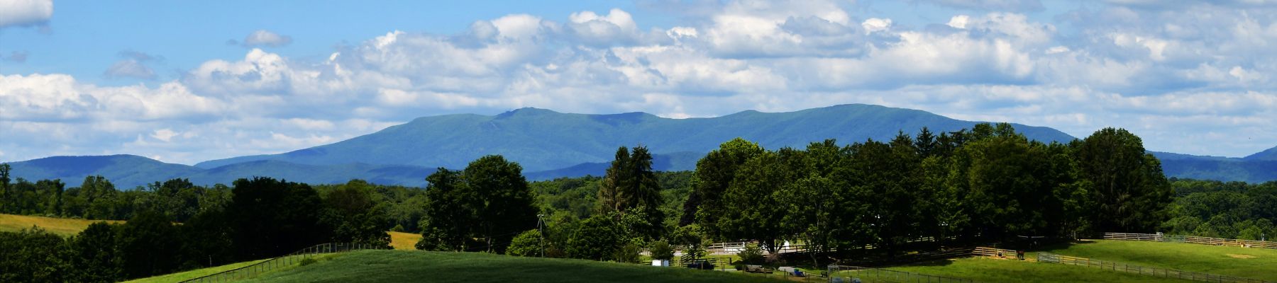 spring day with blue skies